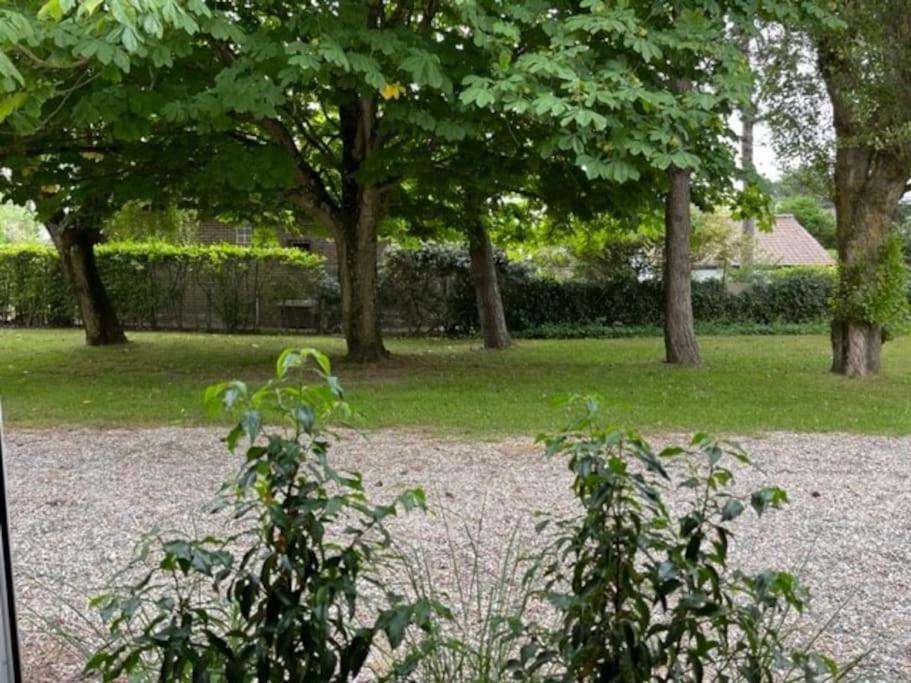 Le Touquet Maison Touquet Pour 4 Personnes מראה חיצוני תמונה